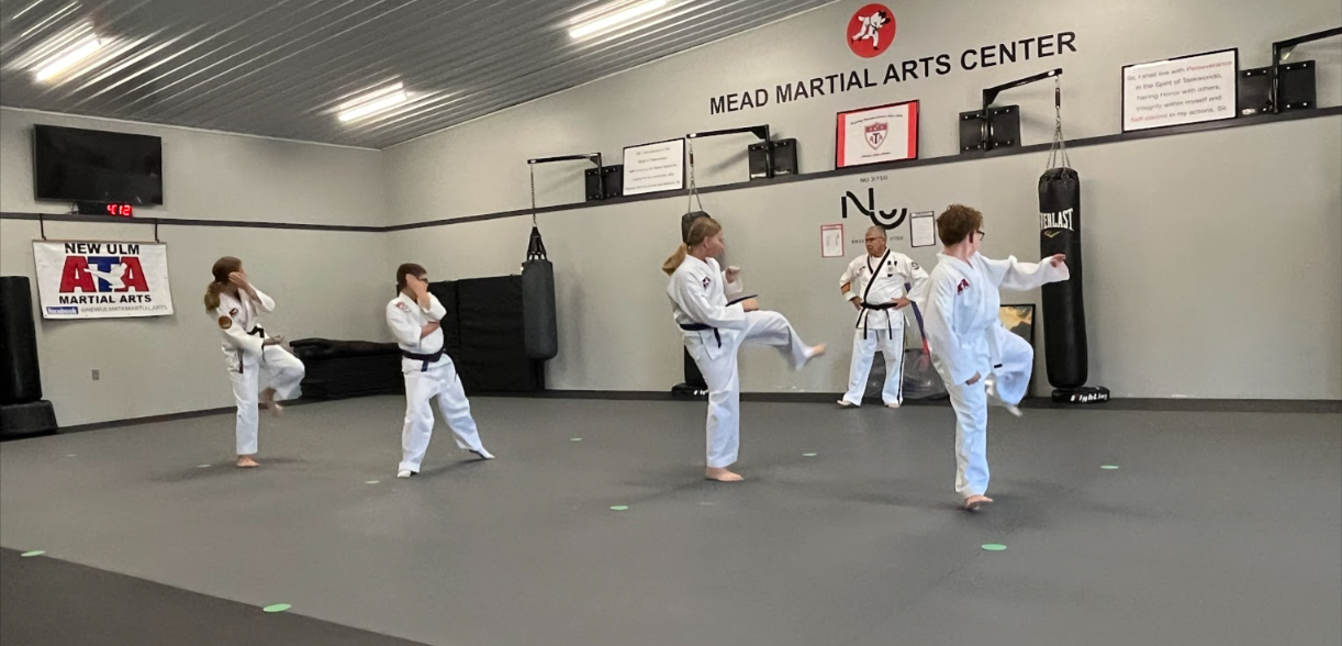 New Ulm ATA Why Taekwondo?