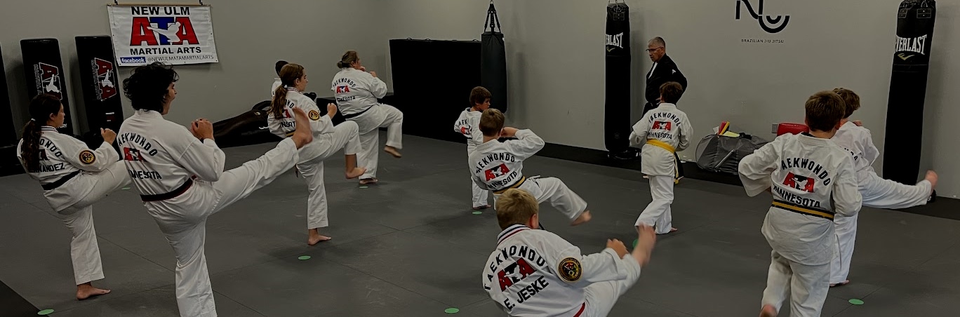 New Ulm ATA Martial Arts Kids, Teens & Adults